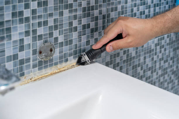 Best Attic Mold Removal  in Mechanicsburg, PA