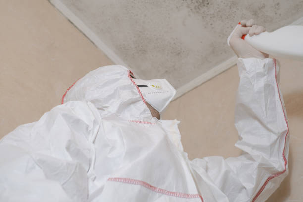 Best Toxic Mold Removal  in Mechanicsburg, PA